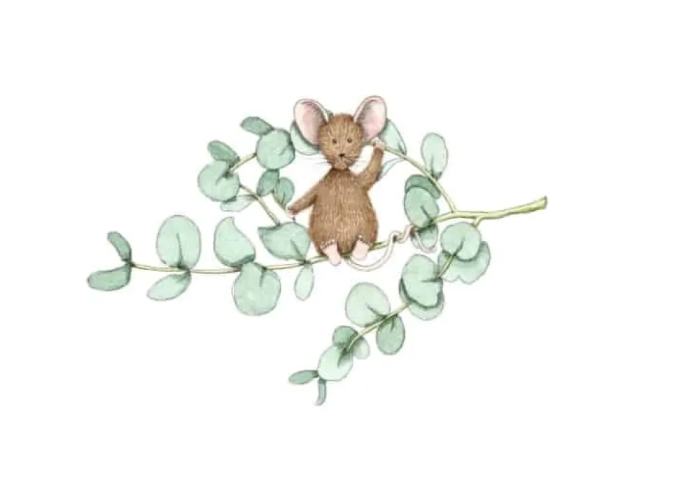 Anillustration Ansichtkaart Eucalyptus muis