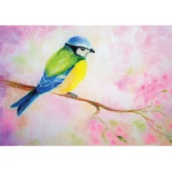 Brechtje Duijzer Ansichtkaart Pimpelmeesje