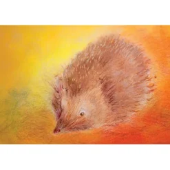 Brechtje Duijzer Minikaartje Egel