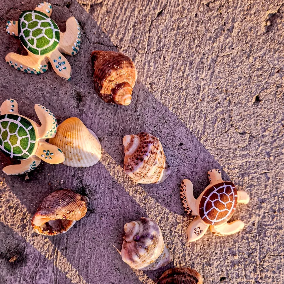 bumbu toys Baby Schildpad Bruin