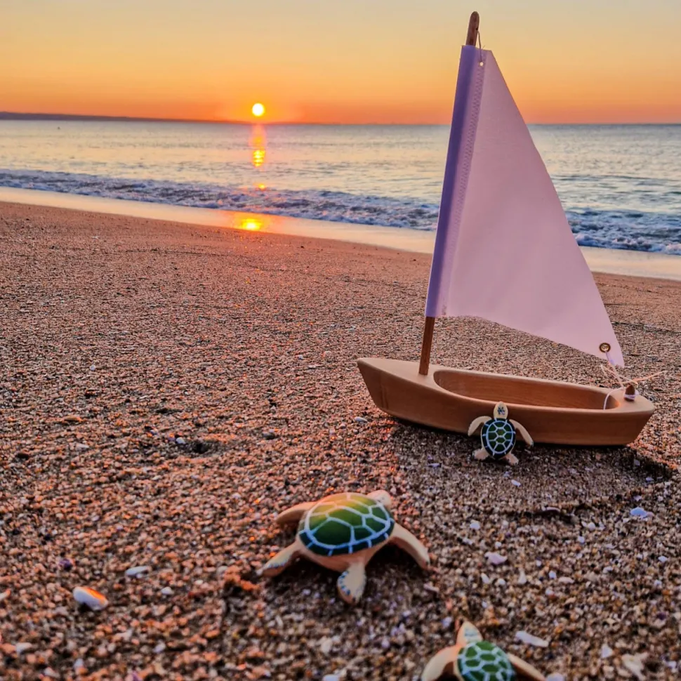 bumbu toys Baby Schildpad Bruin