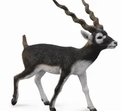 Collecta Antiloop Zwarte Bok 88638