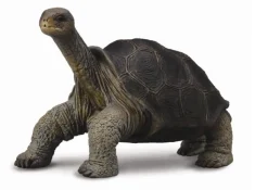 Collecta Galapagosreuzenschildpad 88619