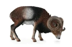 Collecta Moeflon 88682