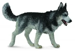 Collecta Siberische Husky 88707