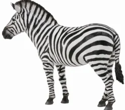 Collecta Steppezebra 88830