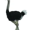 Collecta Struisvogel 88459