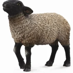 Collecta Suffolk 88636