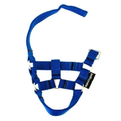 crafty ponies Halster Blauw