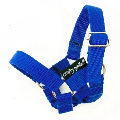 crafty ponies Halster Blauw
