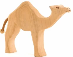 Dromedaris 20911