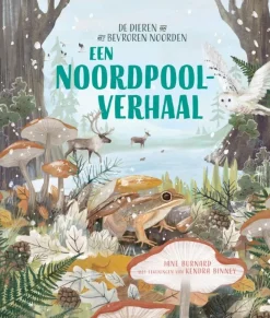 Een Noordpoolverhaal
