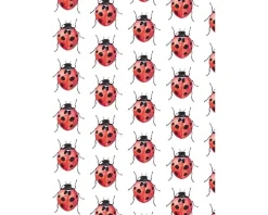 Fritsy Postkaart Lieveheersbeestjes