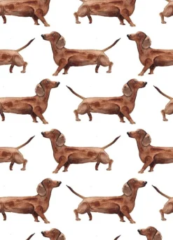 Fritsy Postkaart Teckels