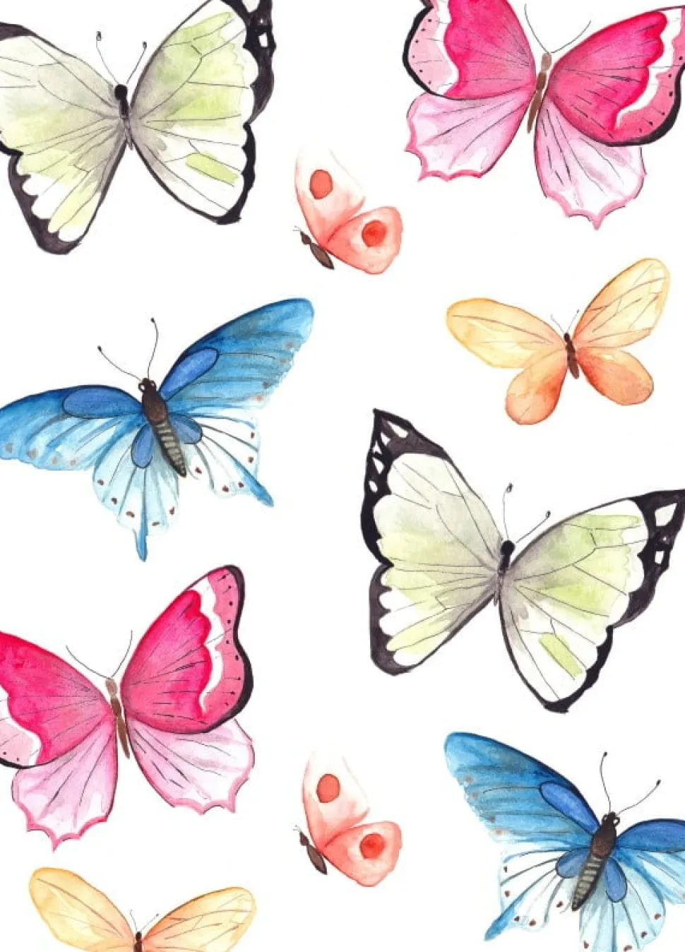 Fritsy Postkaart Vlinders