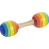 GOKI Dubbele Maracas Regenboog Set 2-delig