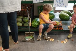 Grapat Mandala Pompoenen 23-252