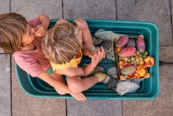 Grapat Mandala Pompoenen 23-252