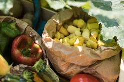 Grapat Mandala Tulip Hout 36-delig 22-240