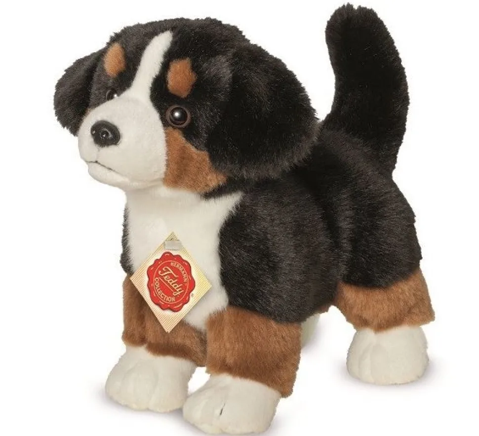 Hermann Teddy Knuffel Berner Sennenhond Puppy