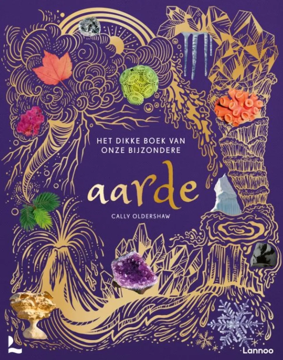 Het dikke boek van onze bijzondere aarde