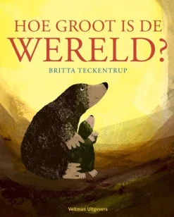 Hoe groot is de wereld?