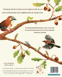 Kalm aan … en kijk om je heen