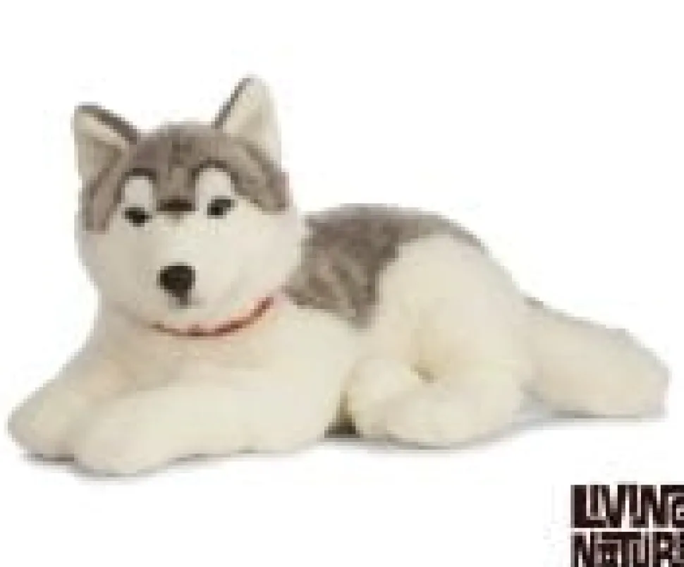 Knuffel Hond Husky