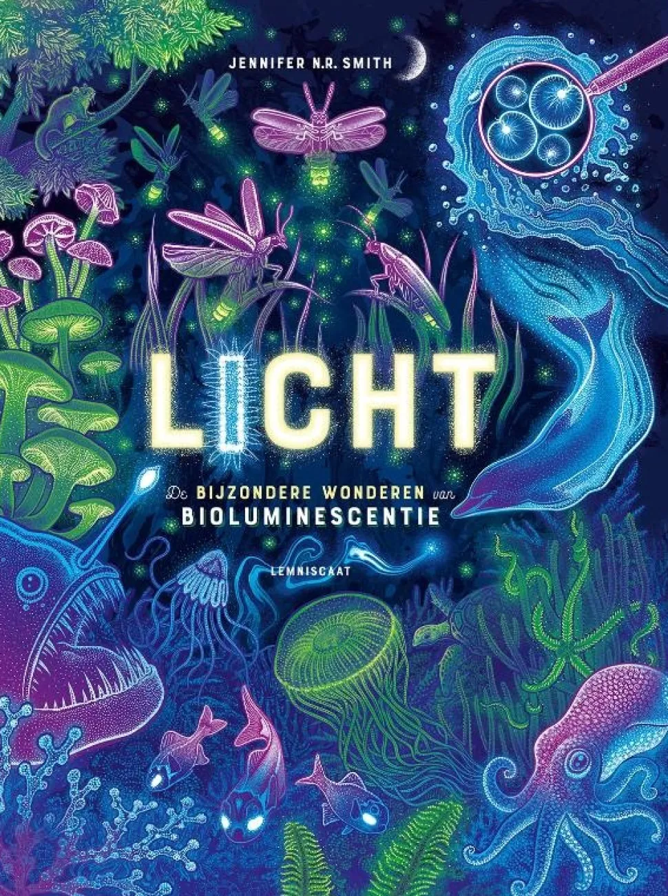 Licht
