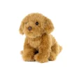 Living Nature Knuffel Hond Cavapoo 20 cm