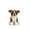 Living Nature Knuffel Hond Boxer Zittend 20 cm