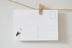 Lotte Drouen Ansichtkaart Welkom Kleintje! Geboorte