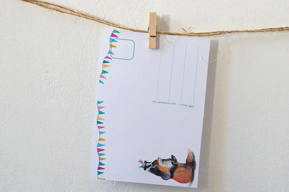 Lotte Drouen Ansichtkaart Feestelijke Dieren