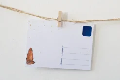 Lotte Drouen Ansichtkaart Sterren Kijken