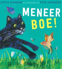 Meneer Boe!