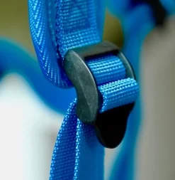 Micro Step Scootabagz Dino Tas