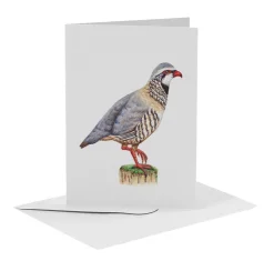 MiesToGo Wenskaart Rode Patrijs