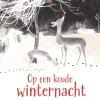 Op een koude winternacht