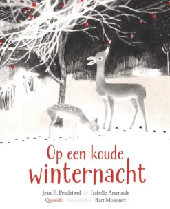 Op een koude winternacht