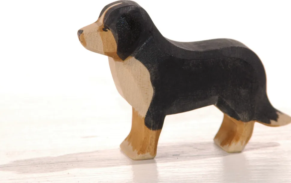 Ostheimer Hond Berner Sennen 10521