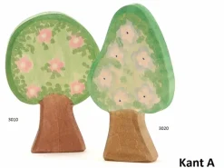 Ostheimer Perenboom 3020