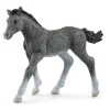 Schleich Paard Trakehner Veulen 13944