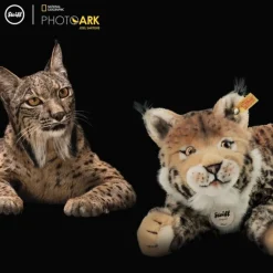 Steiff Knuffel Lynx National Geographic Mizzy 35 cm