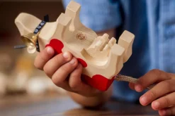 Trauffer Koe 3 Staand Freiburger