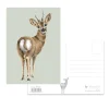 Wrendale Designs The Roe Deer Postcard - Deer