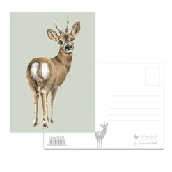 Wrendale Designs The Roe Deer Postcard - Deer
