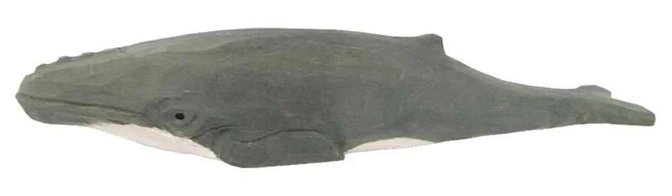 Wudimals Bultrugwalvis 40823