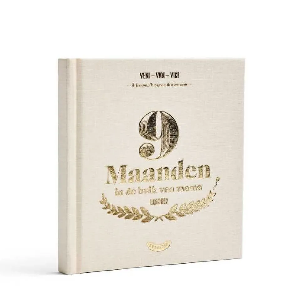 Zwangerschapsboek Invulboek 9 Maanden voor Baby en Mama